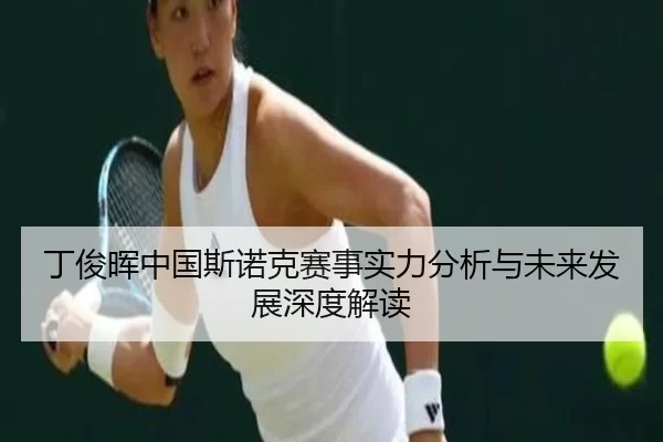 丁俊晖中国斯诺克赛事实力分析与未来发展深度解读