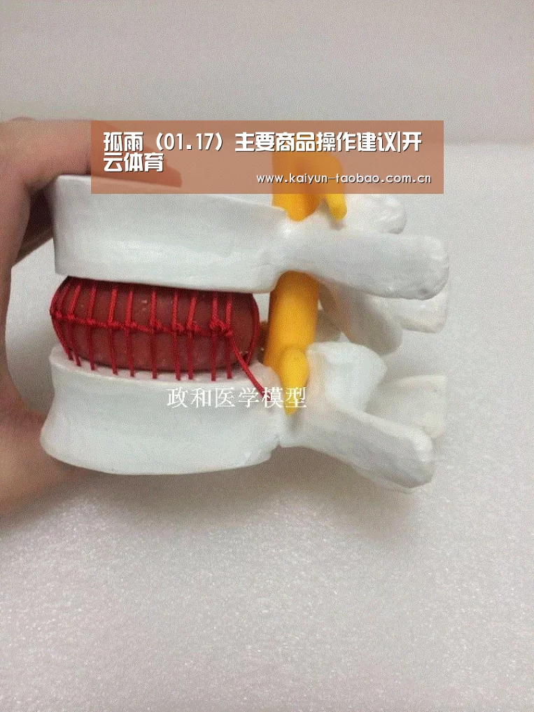 孤雨（01.17）主要商品操作建议|开云