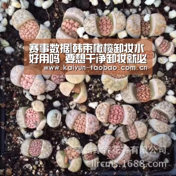 开云体育